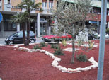 Aiuola con piante mediterranee