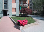 Prato a rotoili in giardino condominiale