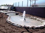 Laghetto in terrazza (in costruzione)